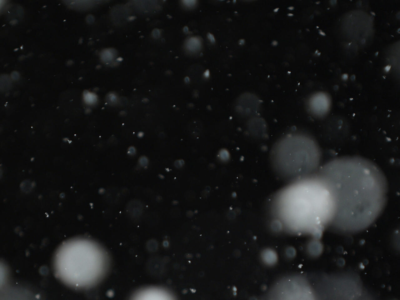 White floating particles against a black background